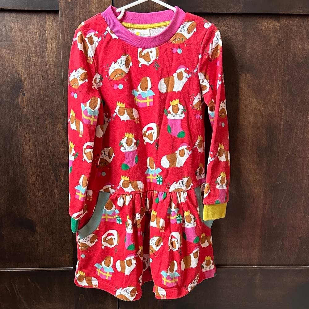 Guinea Pig mini boden holiday